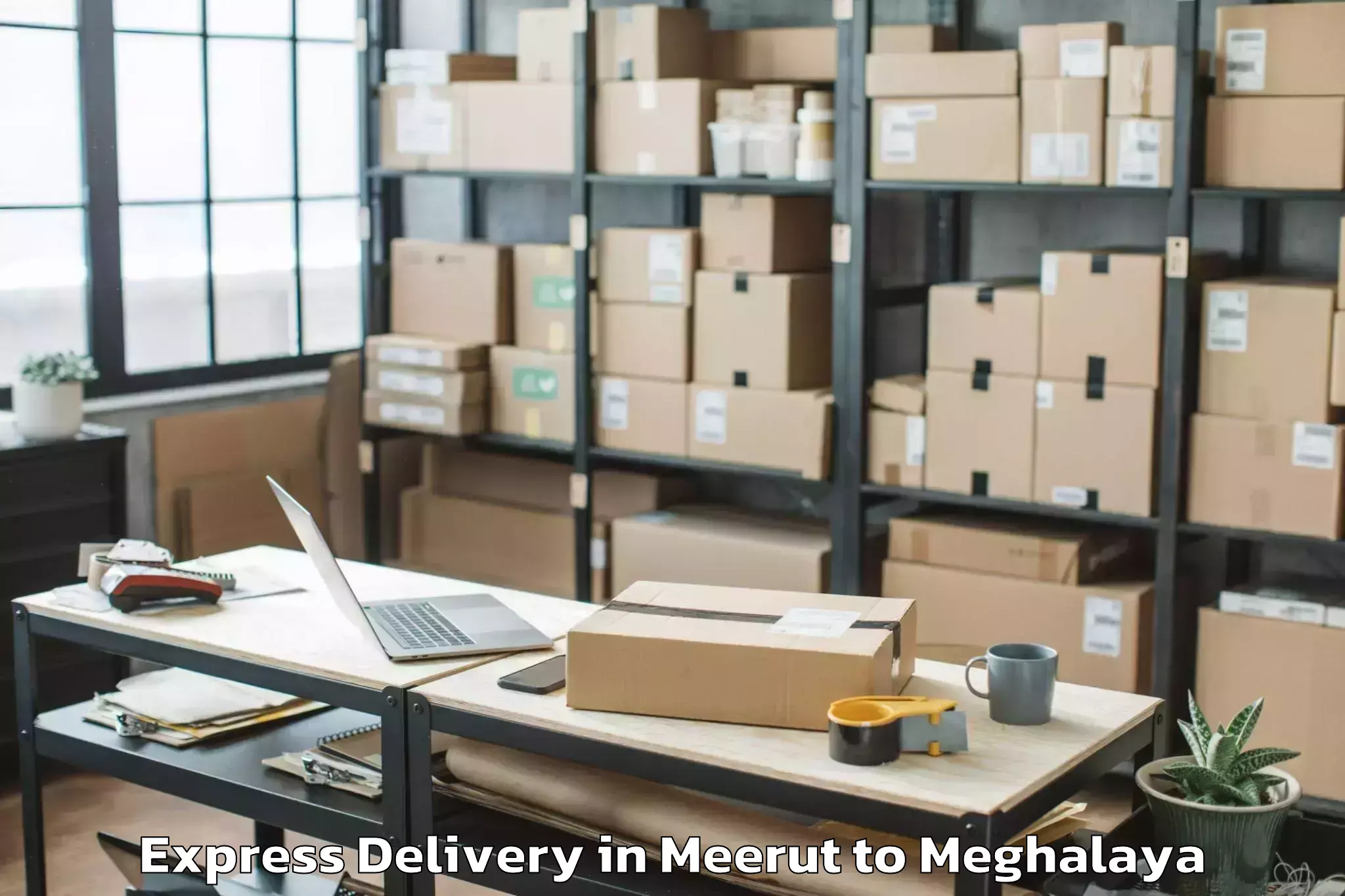 Book Meerut to Ampati Express Delivery Online